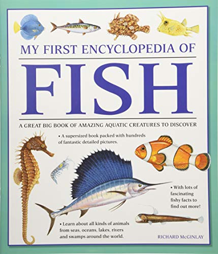 My First Encyclopedia of Fish: A Great Big Book of Amazing Aquatic Creatures to Discover von Armadillo