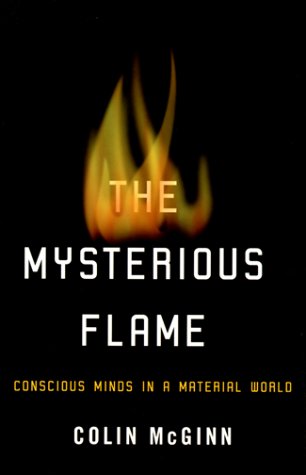 The Mysterious Flame: Conscious Minds In A Material World