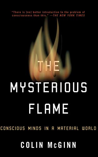 The Mysterious Flame: Conscious Minds in a Material World