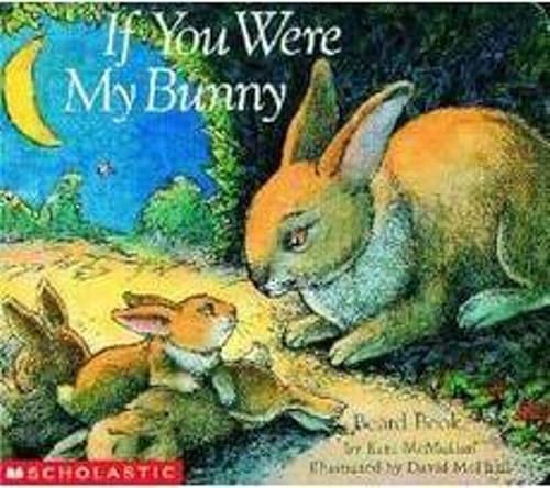 If You Were My Bunny (Board Book) (Story Corner)