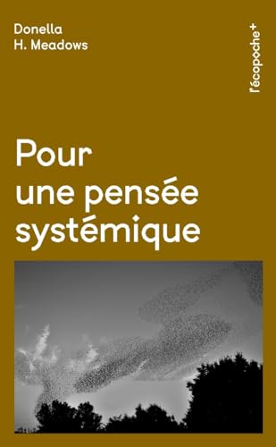 Pour une pensée systémique von RUE ECHIQUIER