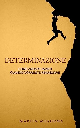 Determinazione: Come andare avanti quando vorreste rinunciare