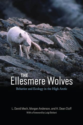 The Ellesmere Wolves: Behavior and Ecology in the High Arctic von University of Chicago Press