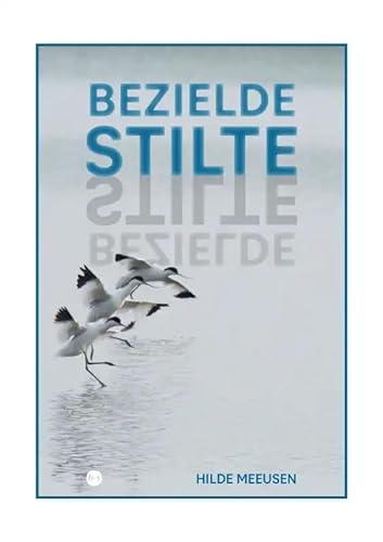 Bezielde stilte: Gedichten die bewegen op de cadans van leven von Uitgeverij Boekscout