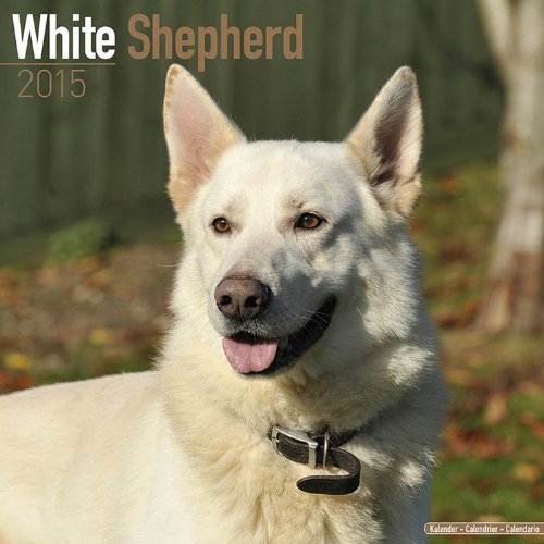 White Shepherd 2015