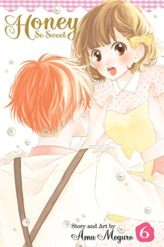 Honey So Sweet, Vol. 6 (HONEY SO SWEET GN, Band 6)