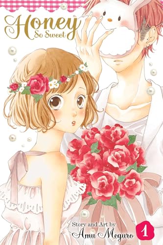 Honey So Sweet Volume 1 (HONEY SO SWEET GN, Band 1) von Simon & Schuster