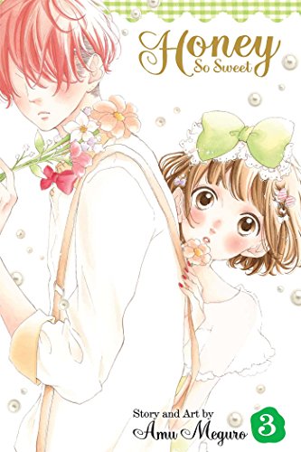 Honey So Sweet Volume 3 (HONEY SO SWEET GN, Band 3)