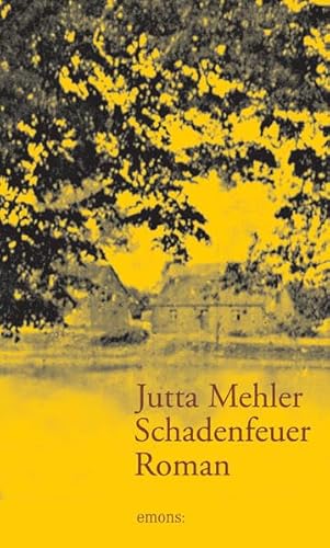 Schadenfeuer: Roman