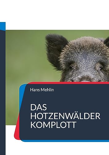 Das Hotzenwälder Komplott: Alemannisches Intermezzo