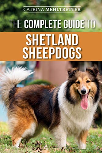 The Complete Guide to Shetland Sheepdogs: Finding, Raising, Training, Feeding, Working, and Loving Your New Sheltie The Complete Guide to Shetland Sheepdogs: Finding, Raising, Training, Feeding, Working, and Loving Your New Sheltie