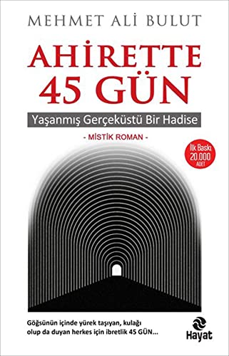 Ahirette 45 Gün: Yaşanmış Gerçeküstü Bir Hadise von Hayat Yayınları