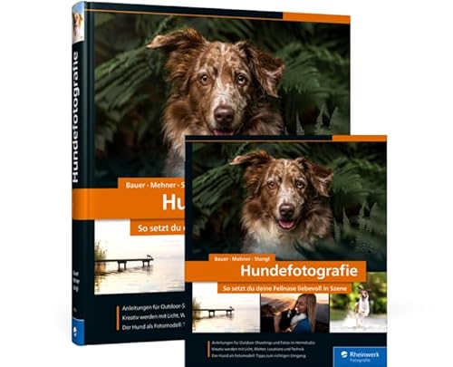 Hundefotografie: So setzt du deine Fellnase liebevoll in Szene von Rheinwerk