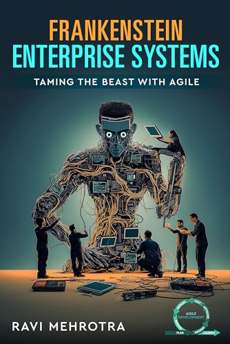 Frankenstein Enterprise Systems - Taming the Beast with Agile von White Falcon Publishing