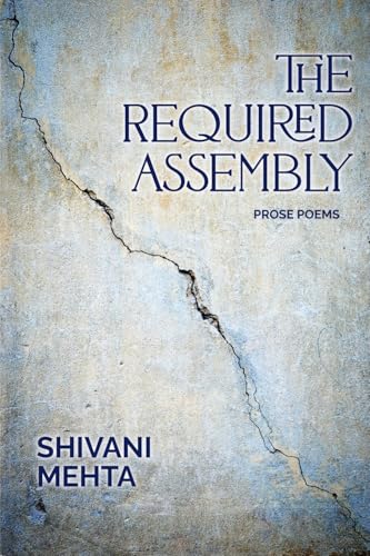 The Required Assembly: Prose Poems von Press 53