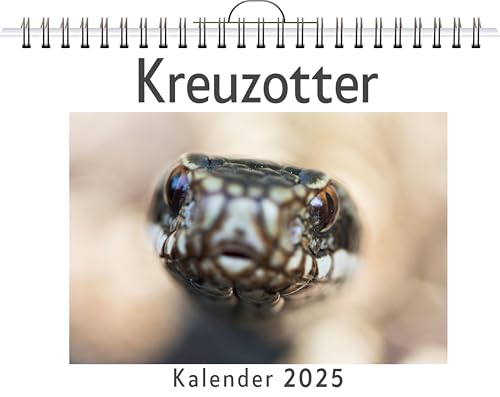 Kreuzotter - (Wandkalender 2025, Kalender DIN A4 quer, Monatskalender im Querformat mit Kalendarium, das perfekte Geschenk) von FlipFlop