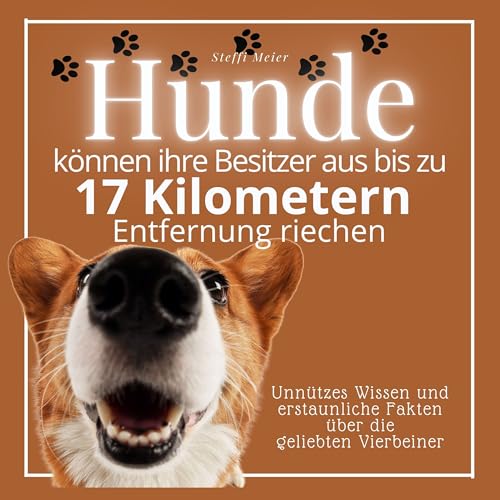 Hunde können ihre Besitzer aus bis zu 17 Kilometern Entfernung riechen: Unnützes Wissen und erstaunliche Fakten über die geliebten Vierbeiner Hunde können ihre Besitzer aus bis zu 17 Kilometern Entfernung riechen: Unnützes Wissen und erstaunliche Fakten über die geliebten Vierbeiner