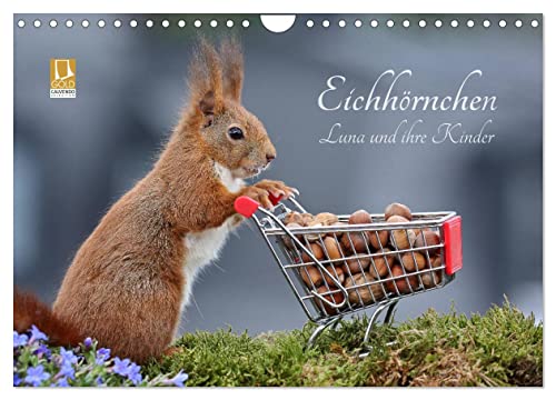 Eichhörnchen Luna und ihre Kinder (Wandkalender 2024 DIN A4 quer), CALVENDO Monatskalender