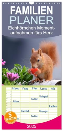 Familienplaner 2025 - Eichhörnchen Momentaufnahmen fürs Herz mit 5 Spalten (Wandkalender, 21 cm x 45 cm), CALVENDO
