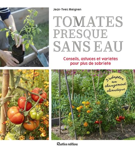 Tomates presque sans eau: Conseils, astuces et variétés pour plus de sobriété von RUSTICA