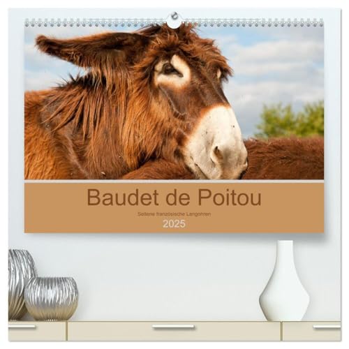 Baudet de Poitou - Seltene französische Langohren (hochwertiger Premium Wandkalender 2025 DIN A2 quer), Kunstdruck in Hochglanz: Wunderschöne Fotografien seltener Esel (CALVENDO Tiere) von CALVENDO