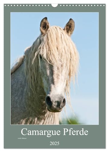 Camargue Pferde - weiße Mähnen (Wandkalender 2025 DIN A3 hoch), CALVENDO Monatskalender von CALVENDO