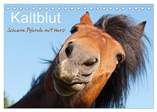 Kaltblut - schwere Pferde mit Herz (Tischkalender 2024 DIN A5 quer), CALVENDO Monatskalender von CALVENDO