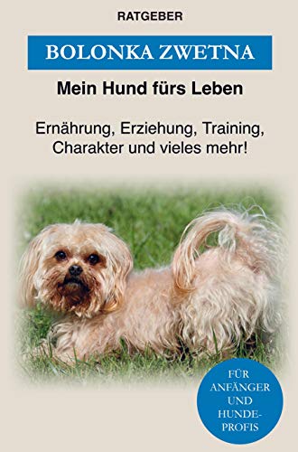 Bolonka Zwetna: Erziehung, Training, Charakter und vieles mehr von Bolonka Zwetna! Bolonka Zwetna: Erziehung, Training, Charakter und vieles mehr von Bolonka Zwetna!
