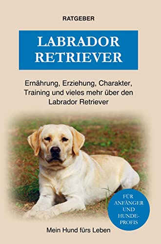 Labrador Retriever: Erziehung, Charakter, Ernährung, Training und einiges mehr über den Labrador Retriever Hund