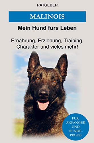 Malinois: Erziehung, Training, Charakter und vieles mehr von Malinois!