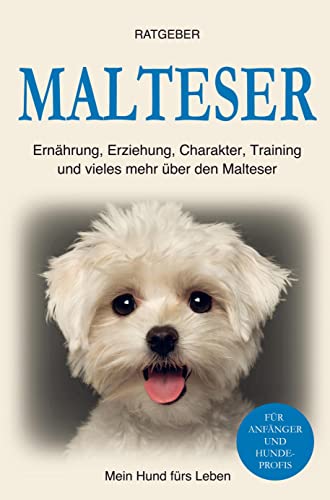 Malteser: Erziehung, Ernährung, Training, Charakter und einiges mehr über den Malteser von Bookmundo