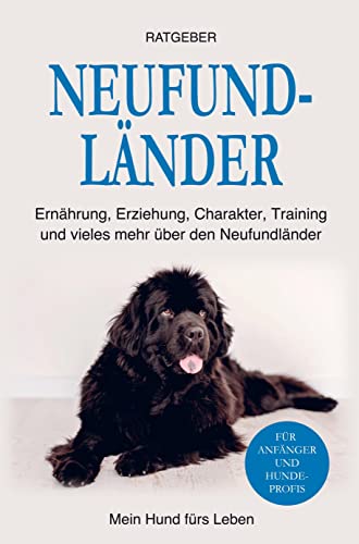 Neufundländer: Erziehung, Training, Ernährung, Charakter und einiges mehr über den Neufundländer