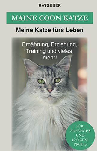 Maine Coon: Maine Coon Katze Ratgeber - Erziehung, Ernährung und Pflege (Katzenrassen) von Independently Published