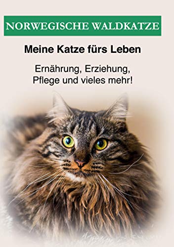 Norwegische Waldkatze: Ernährung, Erziehung, Pflege und vieles mehr über die Norwegische Waldkatze!