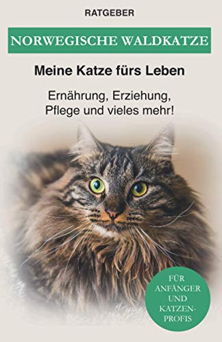 Norwegische Waldkatze: Ernährung, Erziehung, Pflege und vieles mehr! von Independently published