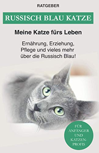 Russisch Blau Katze: Ernährung, Erziehung, Pflege, Charakter und vieles mehr über die Russisch Blau! Russisch Blau Katze: Ernährung, Erziehung, Pflege, Charakter und vieles mehr über die Russisch Blau!