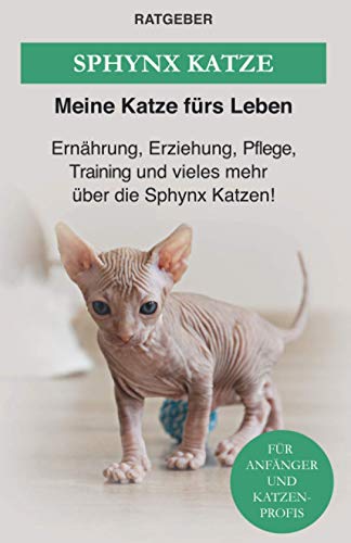 Sphynx Katze: Ernährung, Erziehung, Pflege, Training und vieles mehr über die Sphynx Katzen! Sphynx Katze: Ernährung, Erziehung, Pflege, Training und vieles mehr über die Sphynx Katzen!