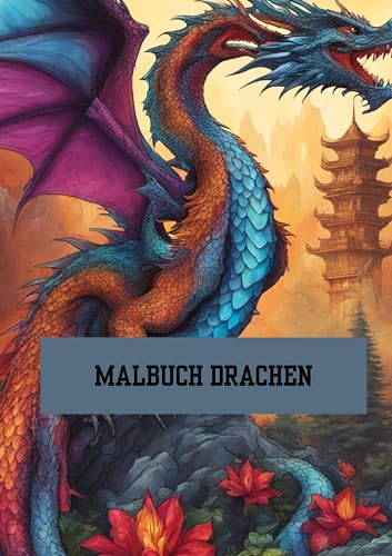 Bilderbuch / Malbuch Drachen: Mit 100 Malvorlagen. Bilderbuch / Malbuch Drachen: Mit 100 Malvorlagen. von tredition