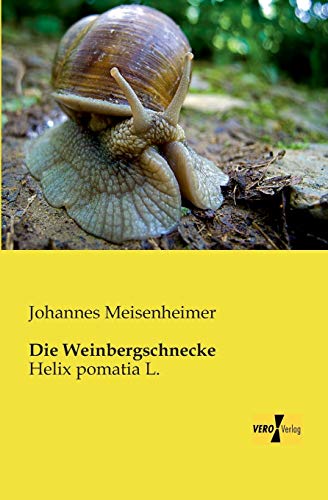 Die Weinbergschnecke: Helix pomatia L.