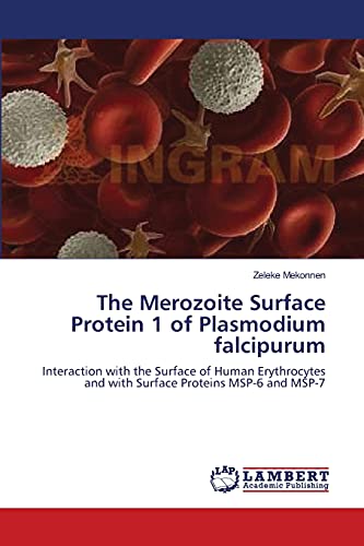 The Merozoite Surface Protein 1 of Plasmodium falcipurum: Interaction with the Surface of Human Erythrocytes and with Surface Proteins MSP-6 and MSP-7