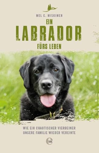 Ein Labrador fürs Leben: Wie ein chaotischer Vierbeiner unsere Familie wieder vereinte