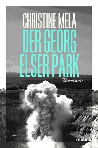 Der Georg Elser Park: Das Portrait einer schwäbischen Stadt mit Kämpfen zwischen Kriegsveteranen, Kommunisten und Konservativen – und ein Plädoyer gegen das Vergessen. von Molino Verlag