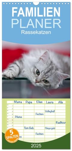 Familienplaner 2025 - Rassekatzen mit 5 Spalten (Wandkalender, 21 cm x 45 cm), CALVENDO von CALVENDO