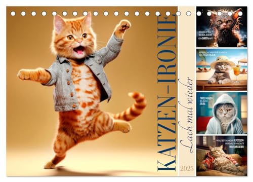 KATZEN-IRONIE Lach mal wieder (Tischkalender 2025 DIN A5 quer), CALVENDO Monatskalender von CALVENDO