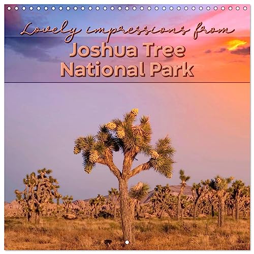 Lovely impressions from Joshua Tree National Park (Wandkalender 2024 30x30 cm 30x60 cm geöffnet) CALVENDO Broschürenkalender mit Monatskalendarium zum Eintragen von CALVENDO