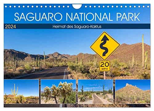 SAGUARO NATIONAL PARK Heimat des Saguaro-Kaktus (Wandkalender 2024 DIN A4 quer), CALVENDO Monatskalender von CALVENDO