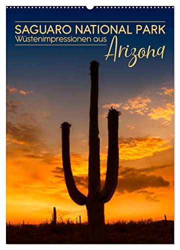 SAGUARO NATIONAL PARK Wüstenimpressionen aus Arizona (Wandkalender 2025 DIN A2 hoch), CALVENDO Monatskalender von CALVENDO