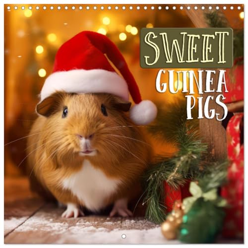 Sweet GUINEA PIGS (Wall Calendar 2025 12" x 24" / 30 x 60 cm (open)) CALVENDO 12 Month Wall Calendar von CALVENDO