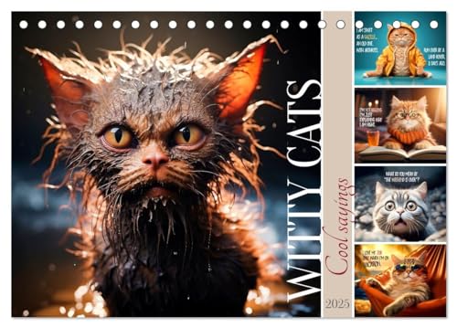 WITTY CATS Cool sayings (Tischkalender 2025 DIN A5 quer), CALVENDO Monatskalender von CALVENDO