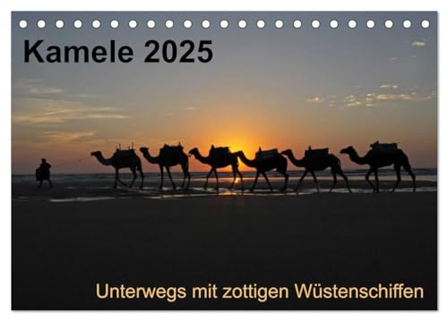 Kamele 2025 - Unterwegs mit zottigen Wüstenschiffen (Tischkalender 2025 DIN A5 quer), CALVENDO Monatskalender